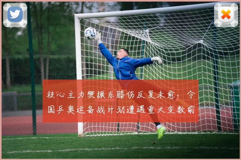 核心主力樊振东膝伤反复未愈，令国乒奥运备战计划遭遇重大变数前景难测