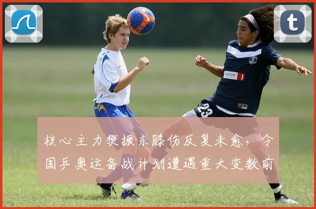 核心主力樊振东膝伤反复未愈，令国乒奥运备战计划遭遇重大变数前景难测