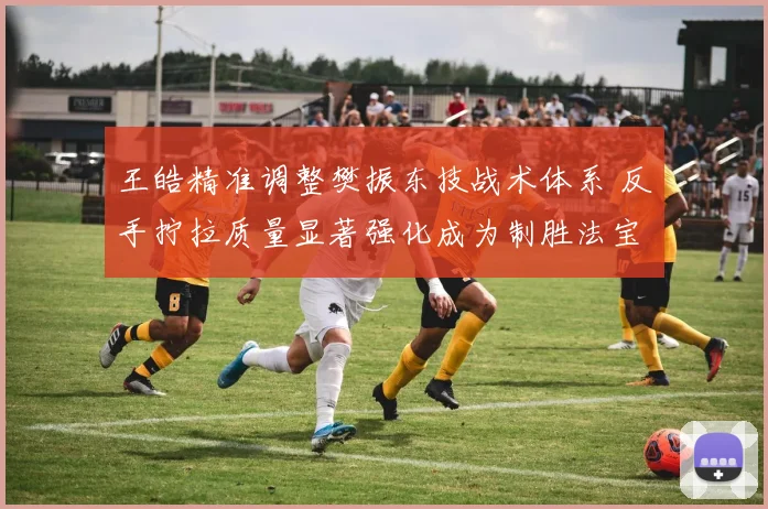 王皓精准调整樊振东技战术体系 反手拧拉质量显著强化成为制胜法宝
